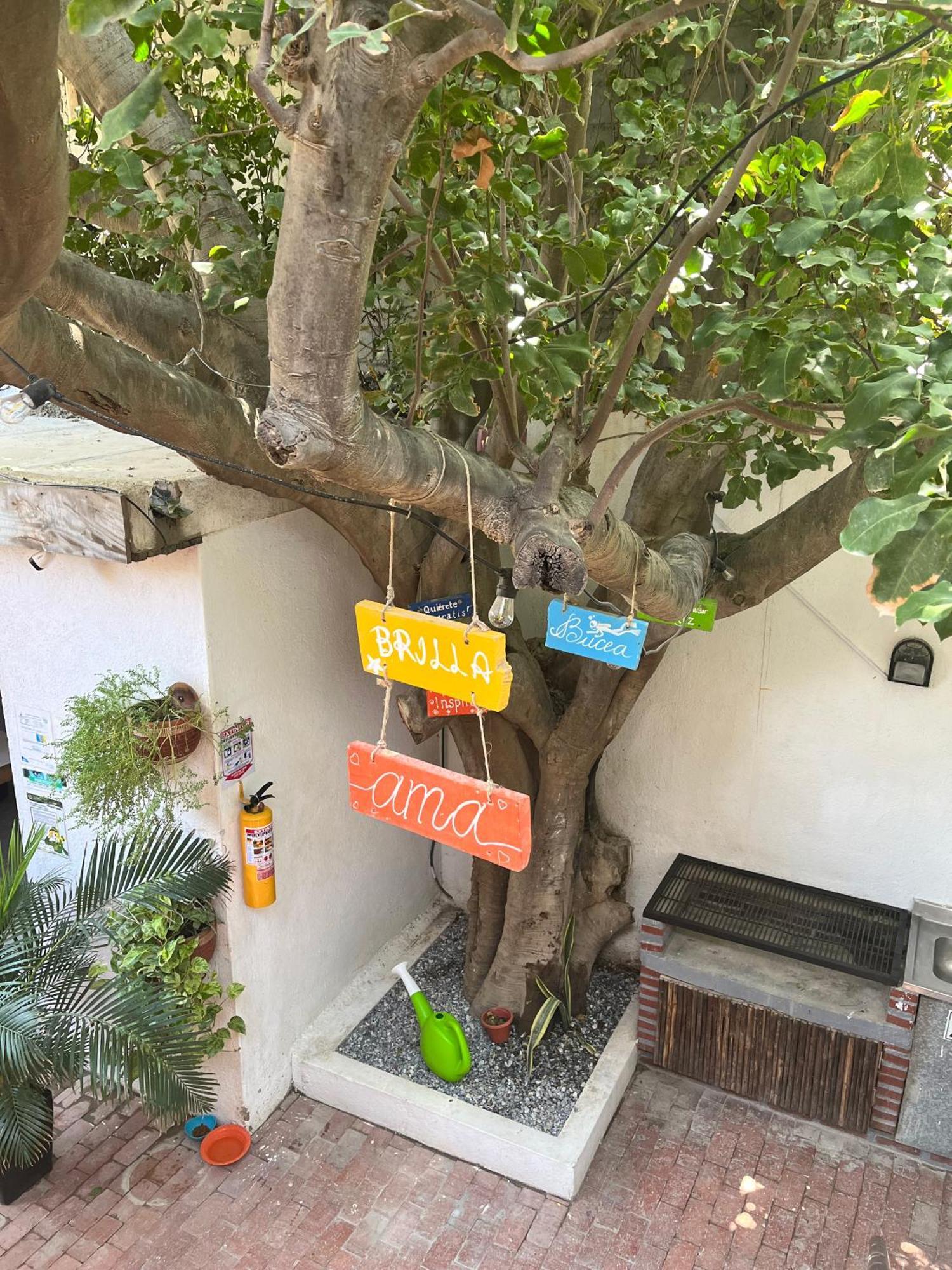 Ocean Lovers Hostel & Apartments Taganga Exterior foto
